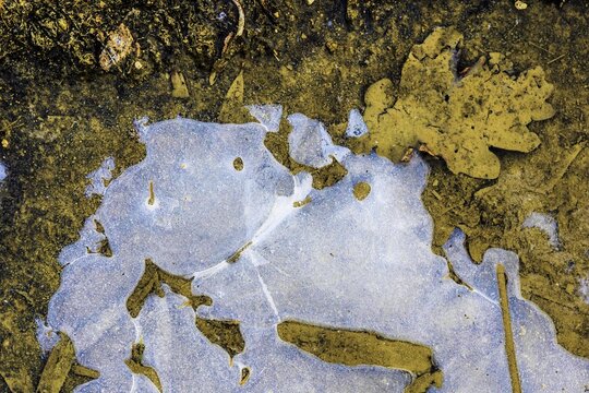Ice structures in a puddle, Hesse, Germany