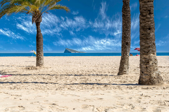 Benidorm Island framed by palm trees