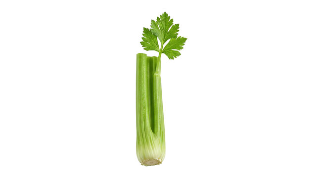 Fresh green celery stalk with leaf isolated on white background