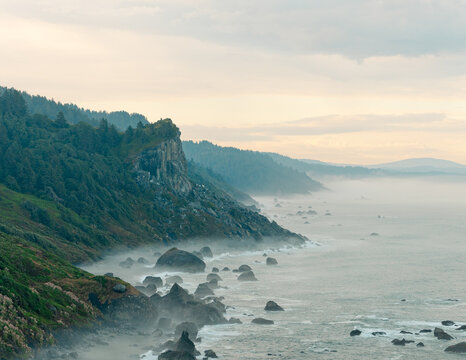 Misty green headland and rocky coast