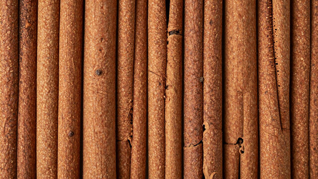 Cinnamon sticks laid side by side, top view