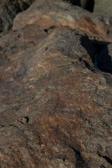 Rough weathered dark boulders with white mineral quartz veins in natural sunlight. © Maria