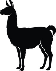 Fototapeta premium Black silhouette of a llama standing in profile, isolated on a white background, south american animal for nature and wildlife themes