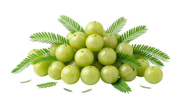 Heap of fresh amla fruit phyllanthus emblica with green foliage on dark background for organic food, superfood, and herbal health photography