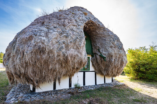 Traditional seaweed-thatched house with huge roof on L&aelig;s&oslash;, Denmark