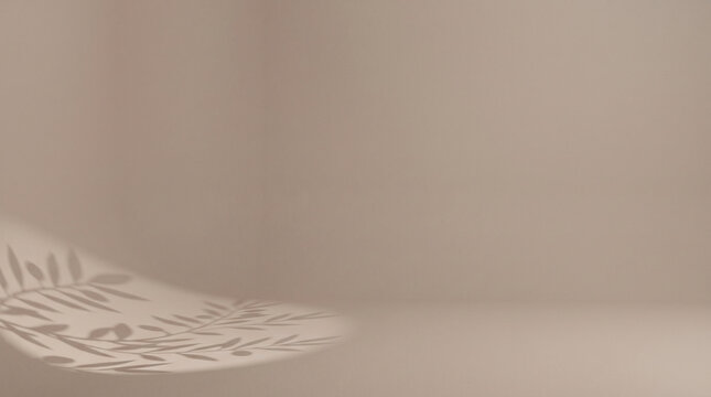 Softly lit studio corner with faint shadow of olive leaves on a beige background