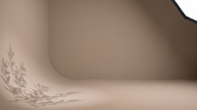 Studio corner with faint shadow of olive leaves on a beige background, and soft lighting