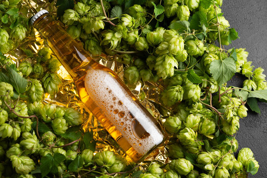 Golden beer bottle surrounded by fresh green hops and textured gold background