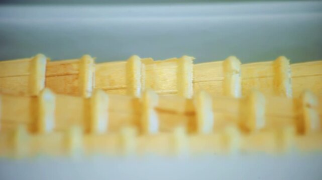 Wooden popsicle sticks moving production line closeup. Ice cream plant conveyor.