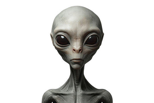 Gray alien extraterrestrial humanoid portrait with transparent background