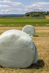 rolled and foil-covered hay in the field © Daniil