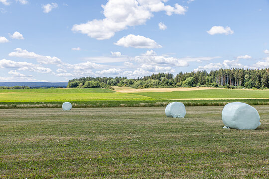 rolled and foil-covered hay in the field