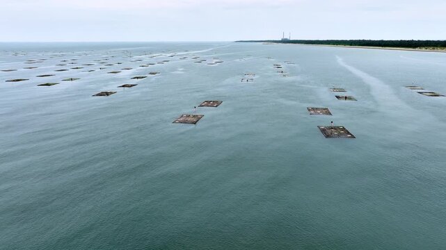 Aerial of floating oyster farms off the coast of Taiwan.