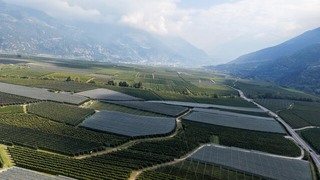 Aerial view of Italian Apple Orchards in the valley with protective netting over the trees, mountains in the background, and a road running along the side in Lasa, South Tyrol, Italy.