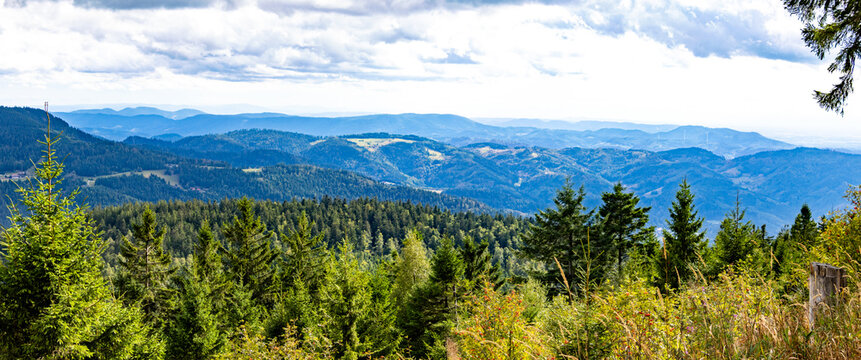 Unterhalb der Hornigsrinde am Mummelsee geht der Blick vom n&ouml;rdlichen Schwarzwald nach S&uuml;den
