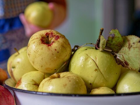 Close-up of freshly washed, imperfect organic yellow apples in a bowl highlighting authentic homegrown produce - Bowl of fresh local autumn harvest apples ready for homemade baking and recipe preparat