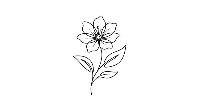 Minimalist single line drawing of a blooming flower with botanical minimalist artistic minimalism delicate