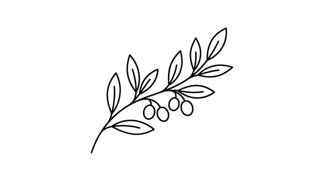 Hand drawn minimalist sketch of an olive branch with leaves and small fruits in a monoline style botanical monoline