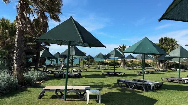 Sun loungers and umbrellas on green lawn in resort garden