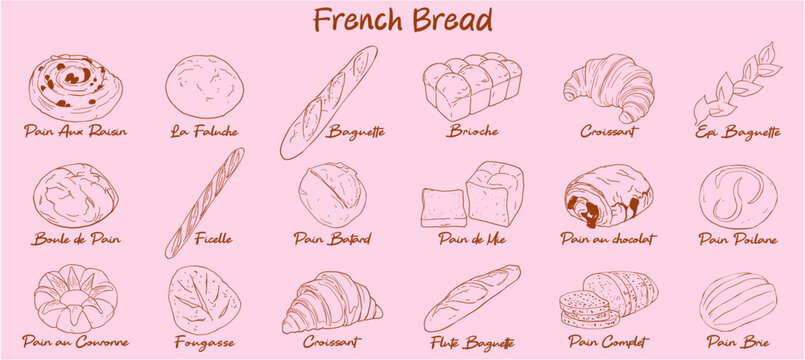 Hand drawn vector set of traditional French bread and viennoiserie, including baguette, croissant, brioche, and pastries with labels. in ink Doodle style illustration.