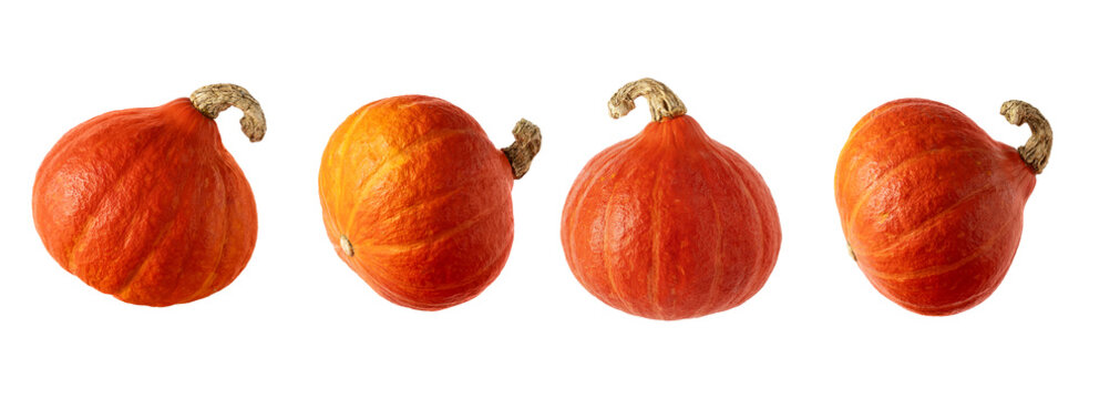 Set of Hokkaido pumpkins isolated on transparent background. Red kuri squash pumpkin from different angles for autumn harvest, food and seasonal designs.
