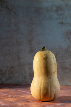 Butternut squash on a tile surface 