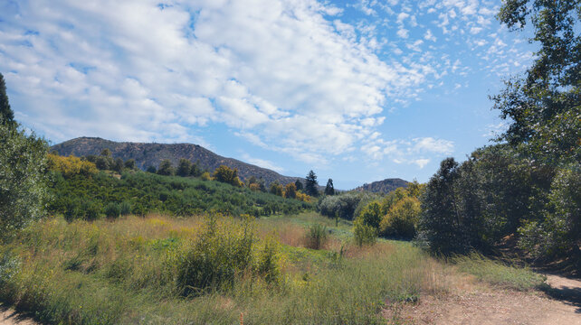 Scenic Hiking Trail Through Oak Glen California Woodland