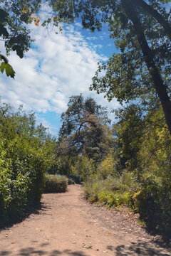 Scenic Hiking Trail Through Oak Glen California Woodland