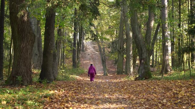 Young woman walks with two small dogs along a leaf-covered path in the autumn forest