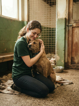 Smiling woman kneeling on blanket and hugging sleepy scruffy terrier inside shelter kennel