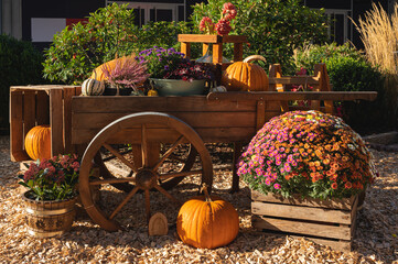Vintage wooden cart decorated with orange pumpkins and colorful chrysanthemum flowers outdoors on autumn sunny day. Festive fall arrangement ideal for Thanksgiving, autumn events and gardening content © Razbitnov