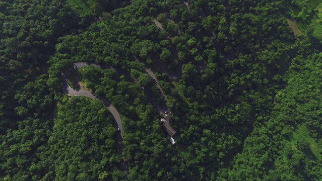 Aerial view of the winding road through the lush green forests of Wilson Hills, showcasing the dense canopy and natural landscape in Valsad, Gujarat, India.