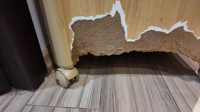 Wooden furniture damaged beneath. Corners torn away from base. Floorboards show visible wear. Wheels support fractured structure. Furniture appears neglected