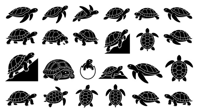 Set of Turtle and Tortoise Silhouettes Isolated