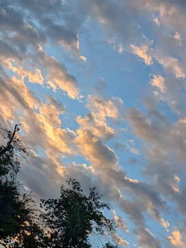 Sunlit Evening Clouds Glow Above Tree Silhouettes in a Blue Sky