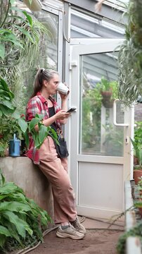 Relaxed woman greenhouse employee taking break from work drinking coffee and scrolling smartphone, peaceful smiling female botanist sips drink and surfing online on phone during day break in orangery.