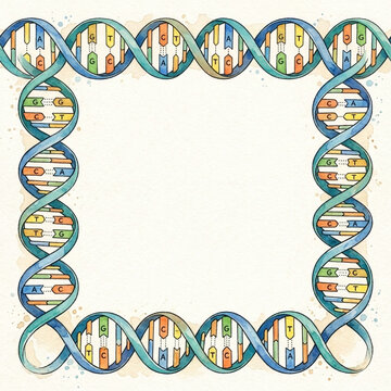 DNA Double Helix Border Frame Scientific Illustration Genetic Science Biotechnology Medical Research