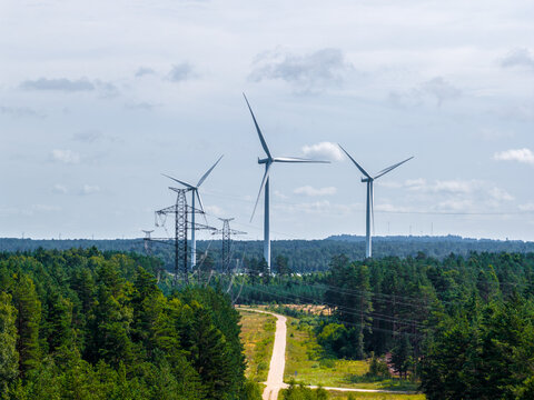 Aerial view of wind turbines rising above a dense pine forest with power transmission lines and a dirt road in Ventspils, Latvia.