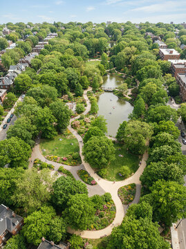 Urban park pond with ducks and people relaxing on the grassy banks in soft daylight