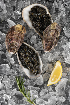 Black caviar served inside open oyster shells. Shells rest on crushed ice bed. Lemon wedge and rosemary sprig add garnish. Fresh seafood appetizer presentation on white surface. Top view
