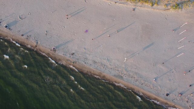 Aerial Top View of Hel Peninsula Beach and Baltic Sea Waves at Golden Hour, Poland