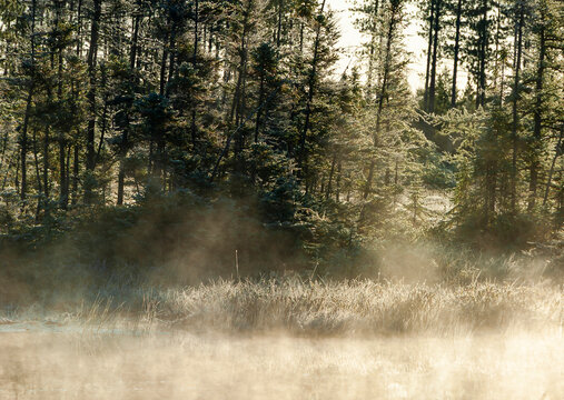 516-60 Frost and Mist on a Small Pond