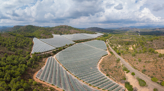 Aerial view of advanced crop-protection netting shielding citrus orchards from hail and sun, the reflective canopy stretching across terraced hillsides between forest and farmland in Spain.