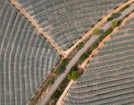 Aerial view of advanced crop-protection netting shielding citrus orchards from hail and sun, the reflective canopy stretching across terraced hillsides in Spain.
