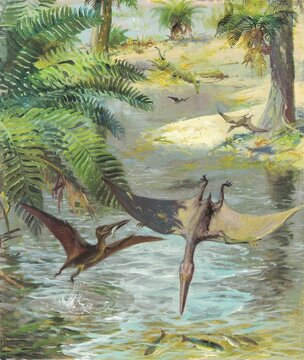 Fishing pterodactyls. Prehistoric pterosaurs hunting for fish in a lush ancient tropical river landscape painting. An artistic illustration depicting winged reptiles flying over a shallow stream 