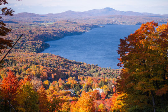 Owl's head summit
