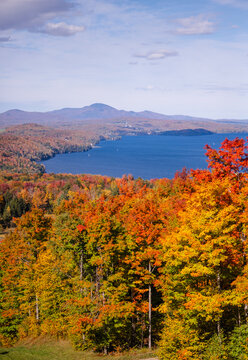 Owl's head summit