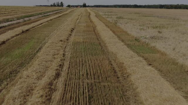 Drone advances over cut field swaths, D-Log