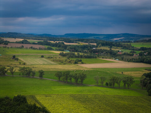 Aerial view of the rolling landscape near Zapora Zlotnicka with green fields, rows of trees, and distant hills under a cloudy sky in Zlotniki Lubanskie, Lower Silesian Voivod, Poland.