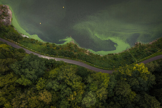 Aerial view of Zapora Zlotnicka dam surrounded by lush green forest and a winding road along the reservoir in Zlotniki Lubanskie, Lower Silesian Voivod, Poland.